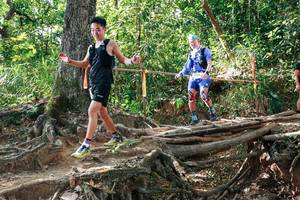 BIB: 
                            <button type="button" onclick="openModal(27716624)" class="btn btn-primary btn-sm float-right btn-popup" data-toggle="modal" data-target=".modal-high-quality">
                        <i class="fas fa-shopping-cart"></i> Add to Cart
                    </button>
                                            <button type="button" onclick="isThisMe(27716624, true)" class="btn btn-success btn-sm float-right btn-popup btn-isme hidden" data-toggle="tooltip" data-placement="bottom" title="นี่คือรูปของคุณใช่ไหม คลิกที่นี่เพื่อเอาเข้าอัลบั้ม">
                        <i class="fas fa-plus"></i> Add to album
                    </button>
                    <button type="button" onclick="isThisMe(27716624, false)" class="btn btn-warning btn-sm float-right btn-popup btn-isnotme hidden">
                        <i class="fas fa-ban"></i> Remove from album
                    </button>